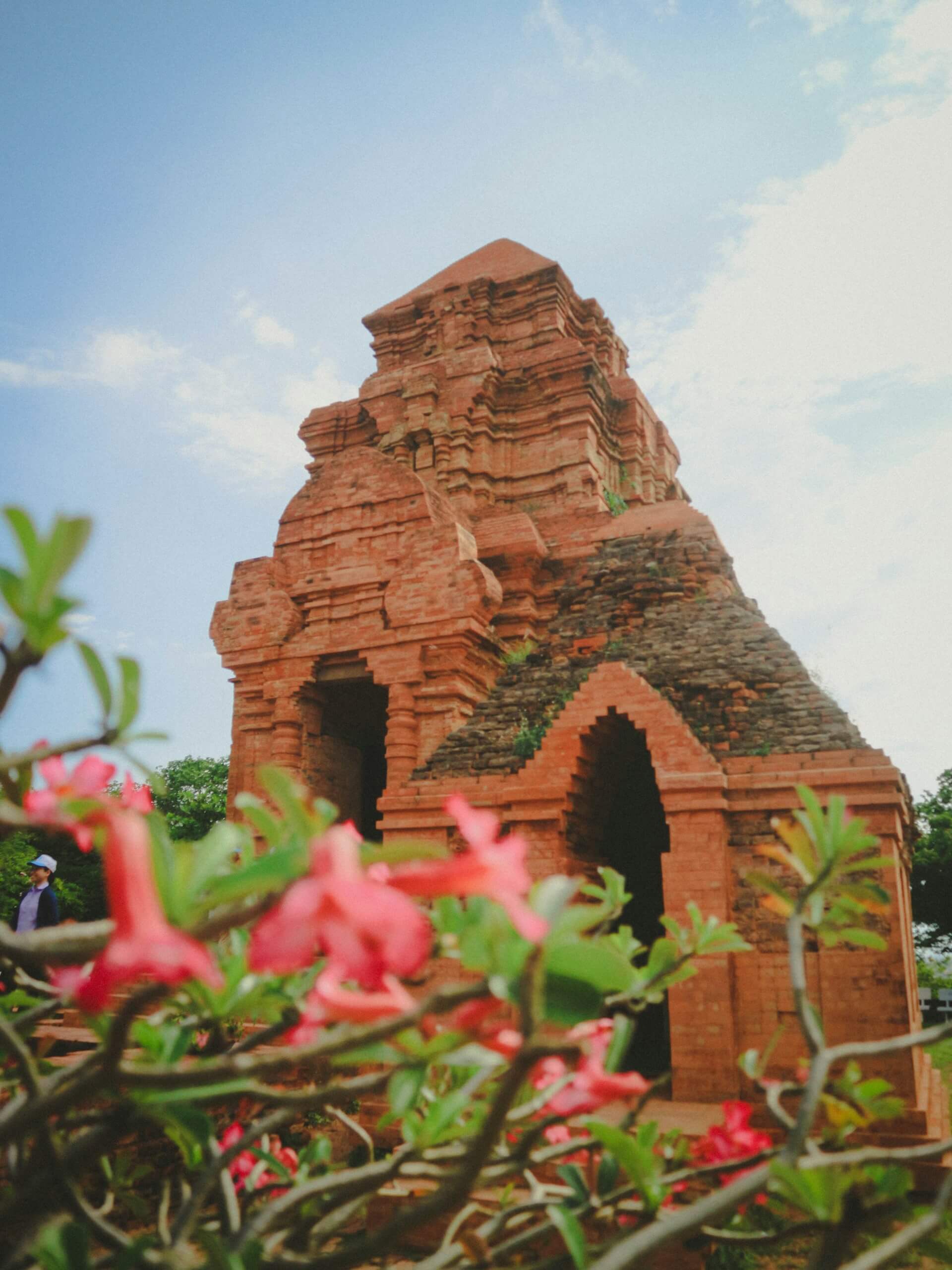 Чамские башни Пошану