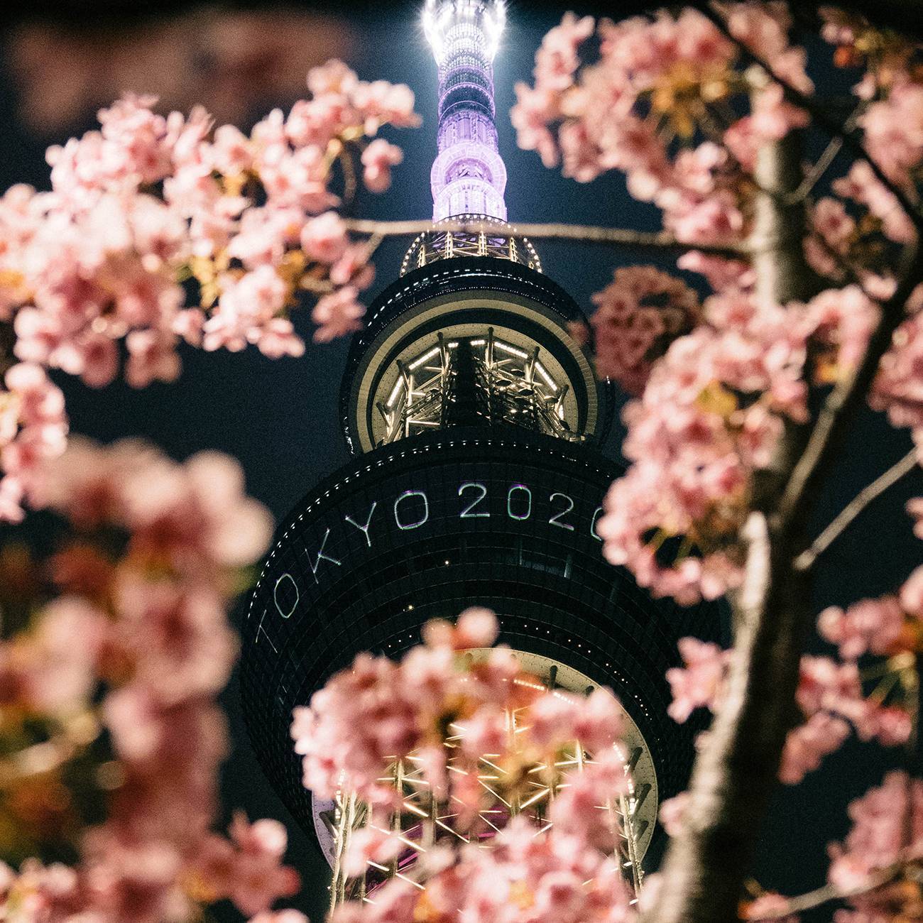 Башня Tokyo Skytree