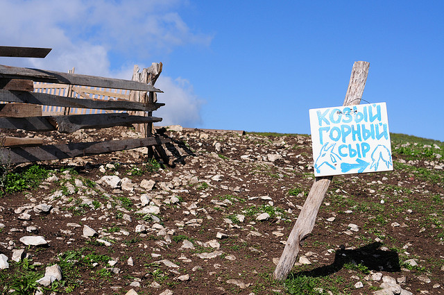 самостоятельно в абхазию чем заняться