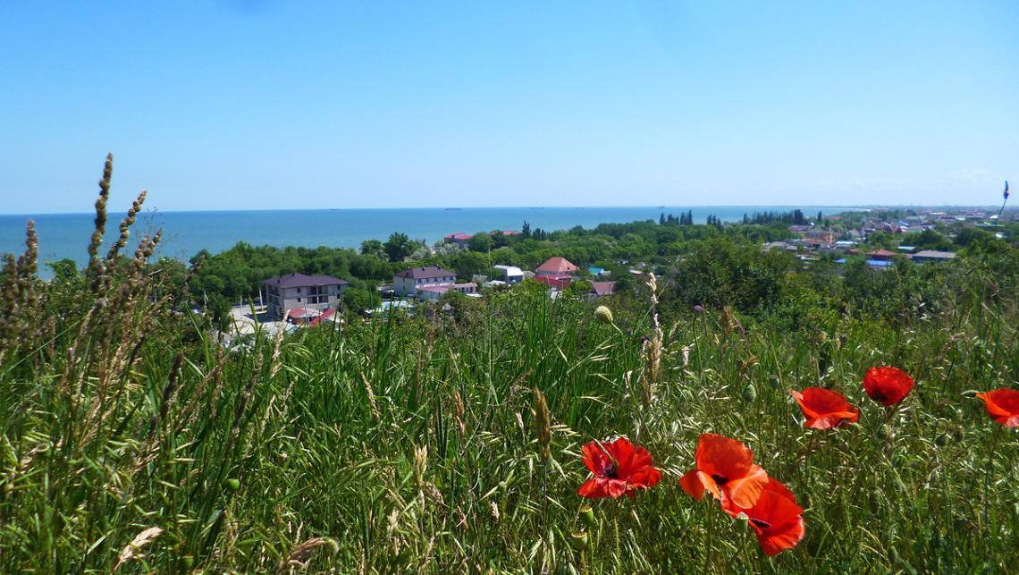 какое сейчас море в голубицкой краснодарского края