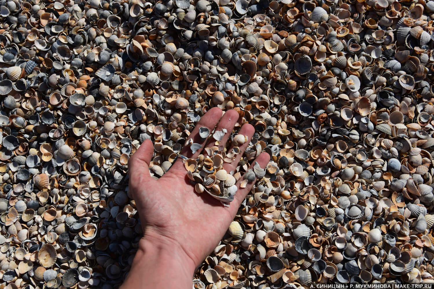 Должанская коса