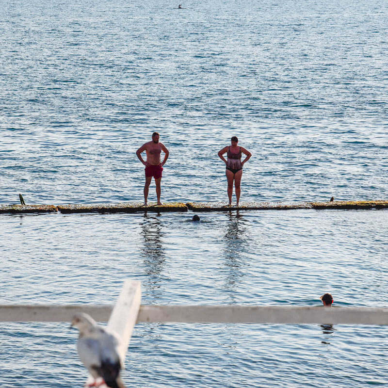 Хоста: советы по отдыху