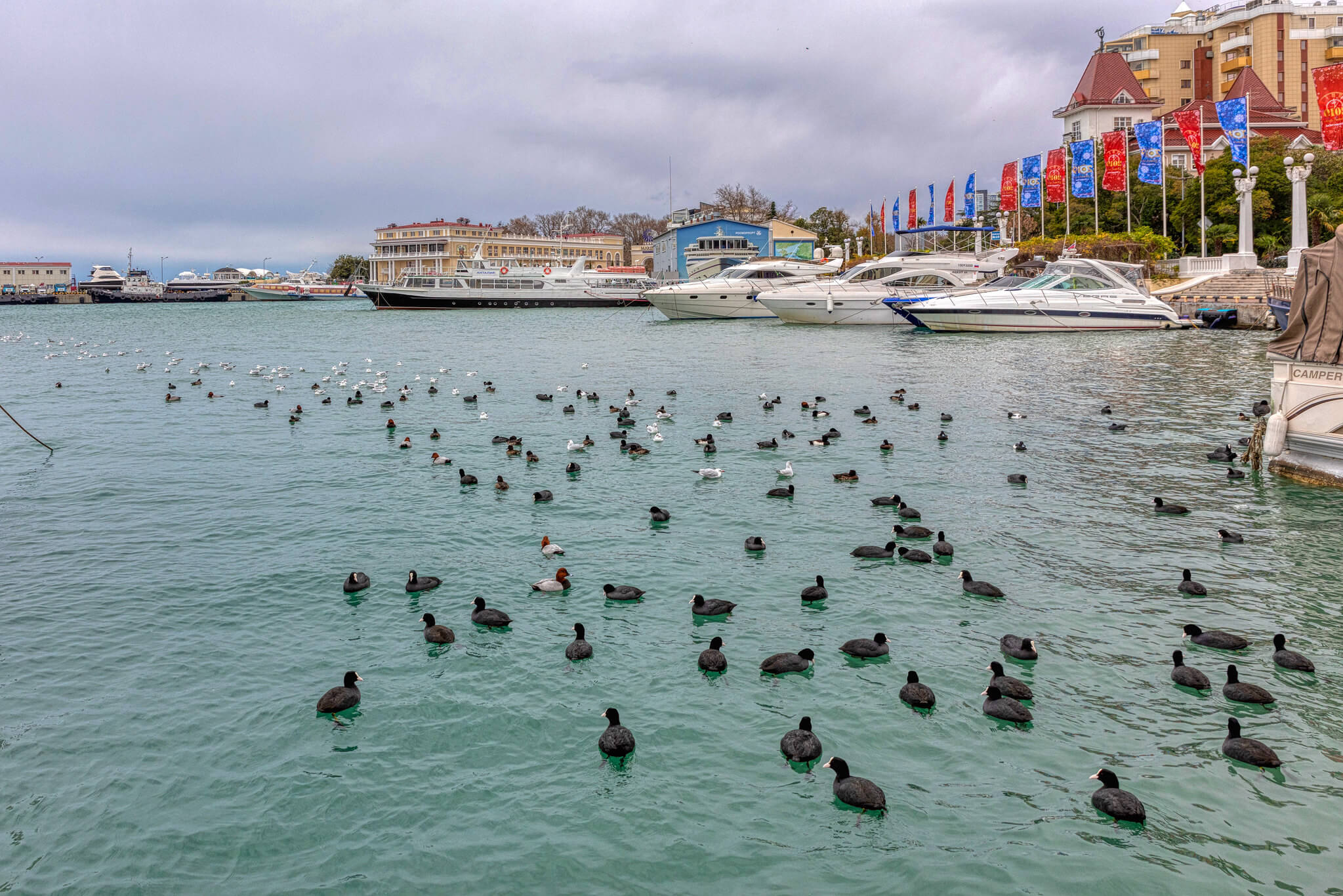 Температура воды и воздуха в Сочи в декабре