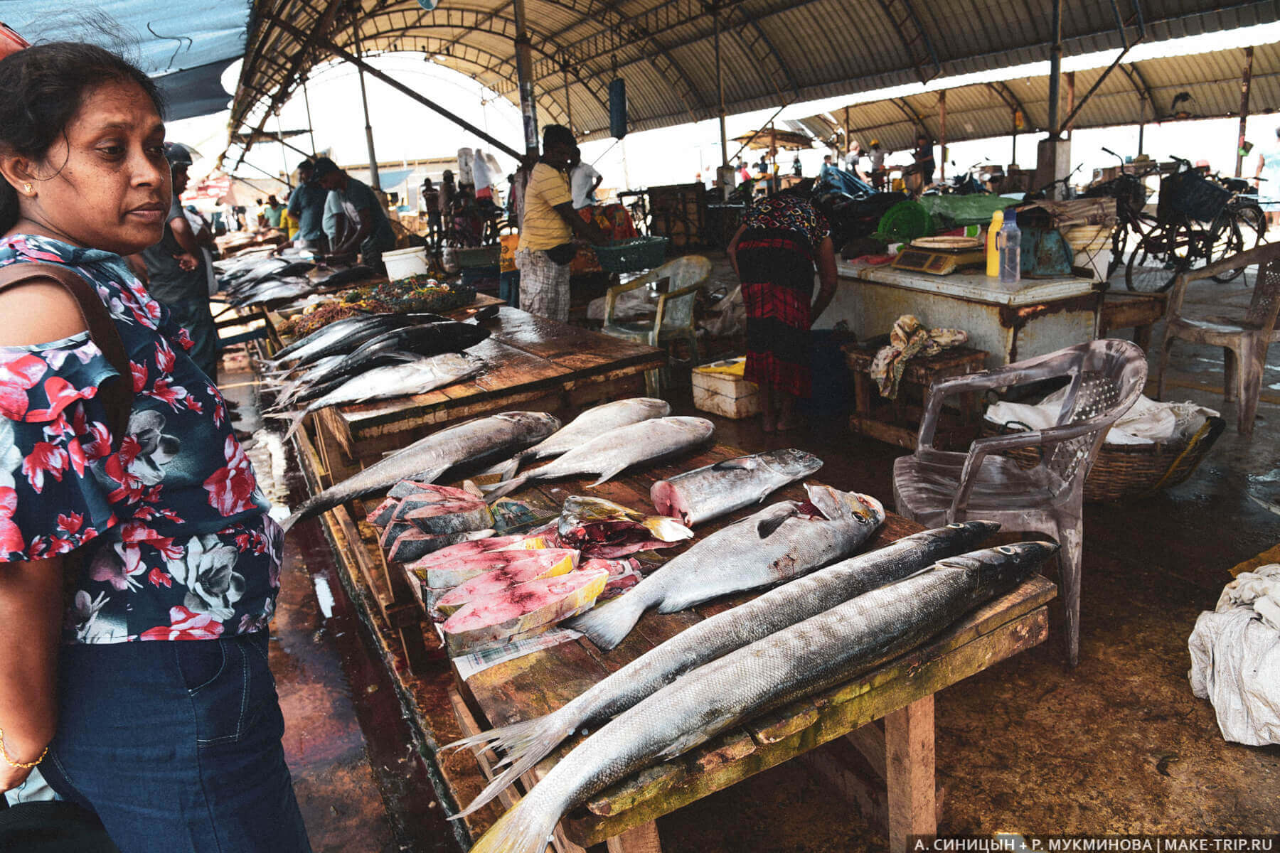 Рыбный рынок в Негомбо