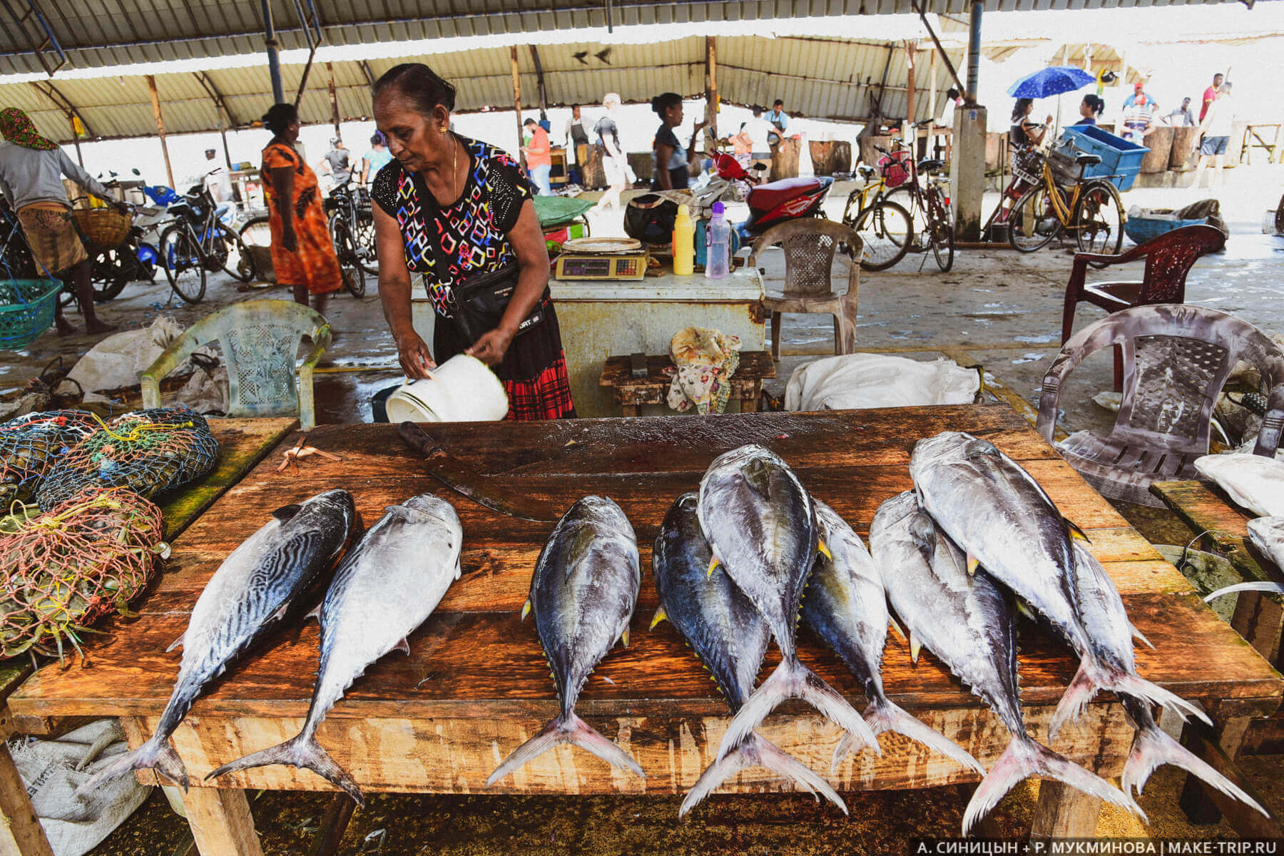Рыбный рынок в Негомбо