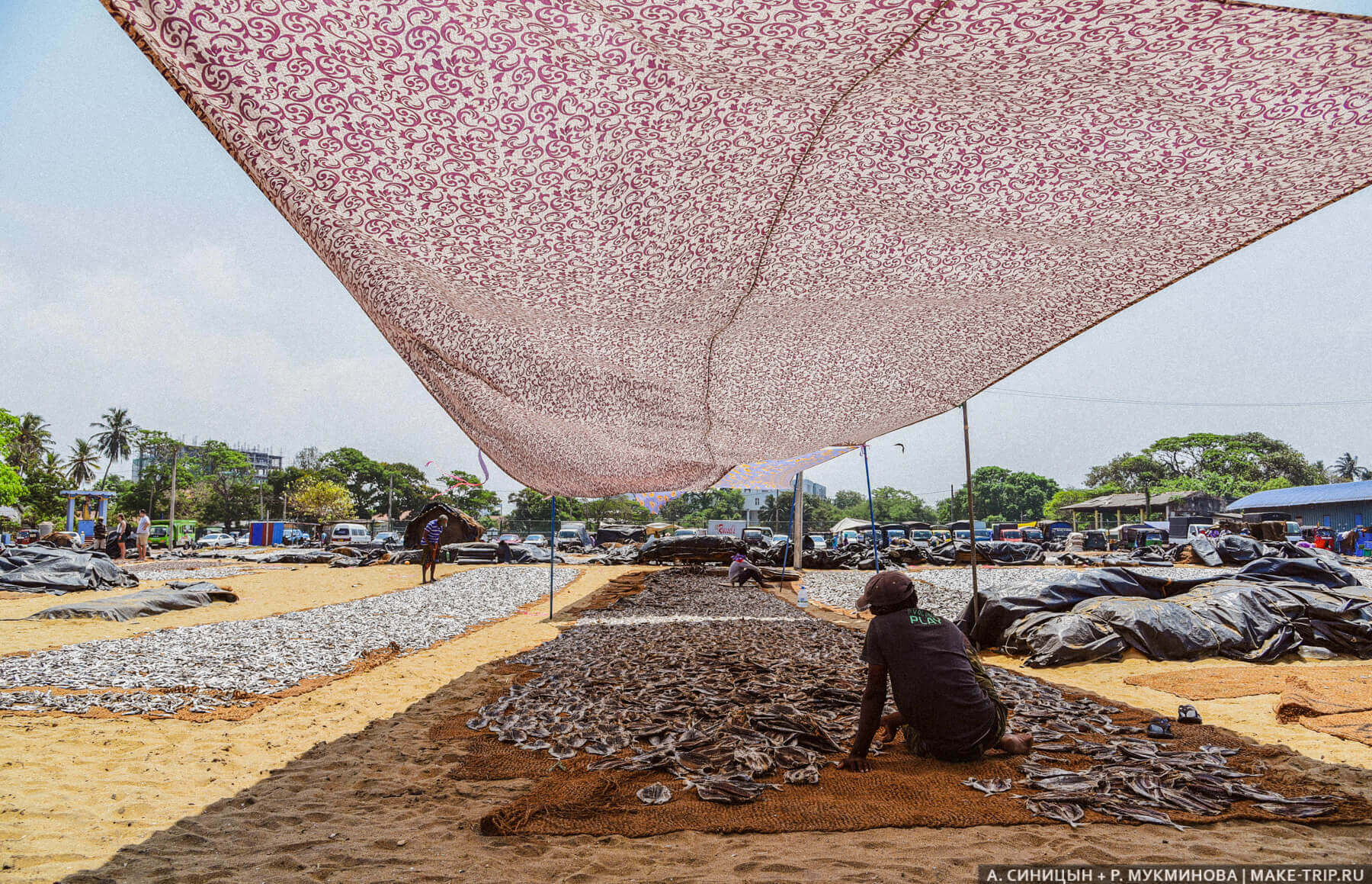 Рыбный рынок в Негомбо