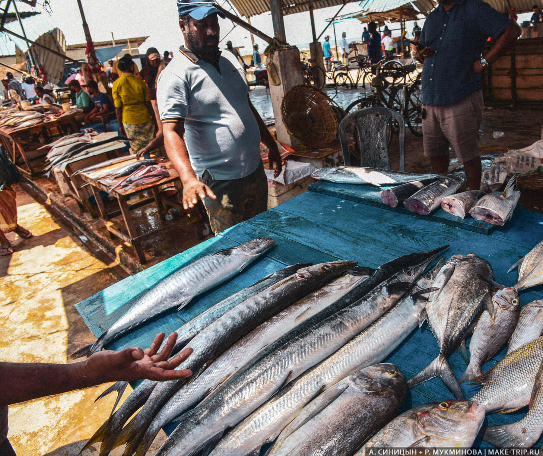 Рыбный рынок в Негомбо