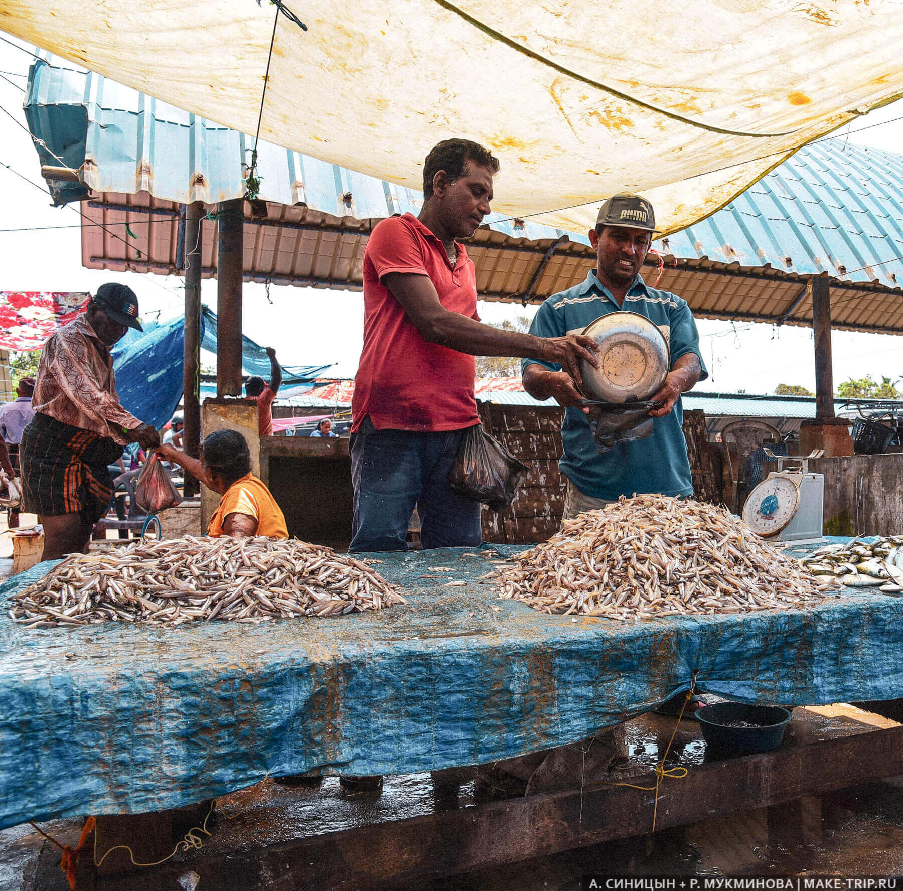 Рыбный рынок в Негомбо