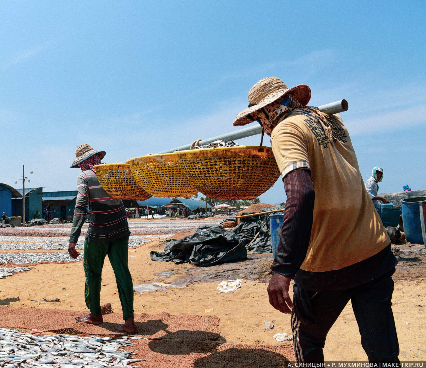 Рыбный рынок в Негомбо