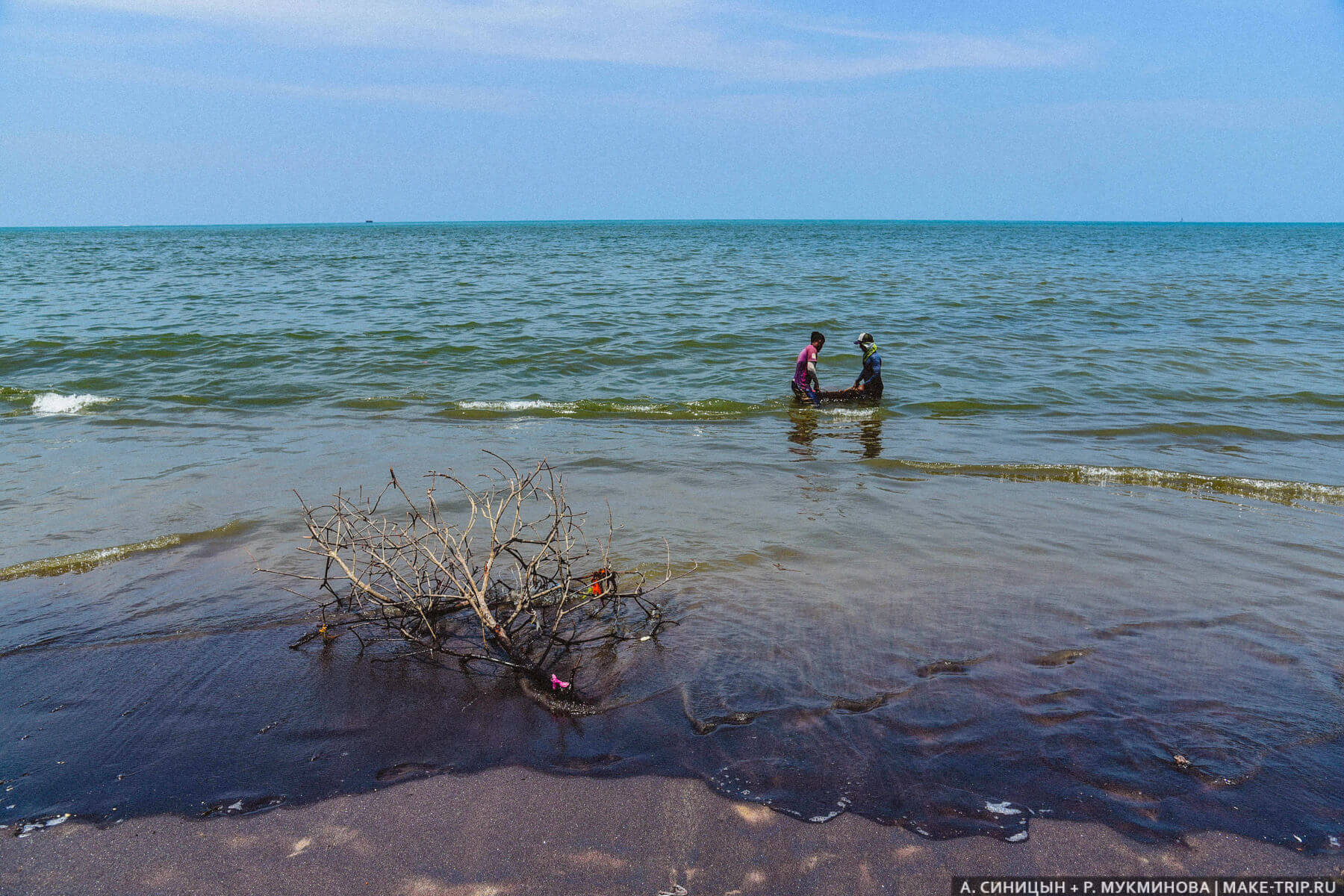 Рыбный рынок в Негомбо