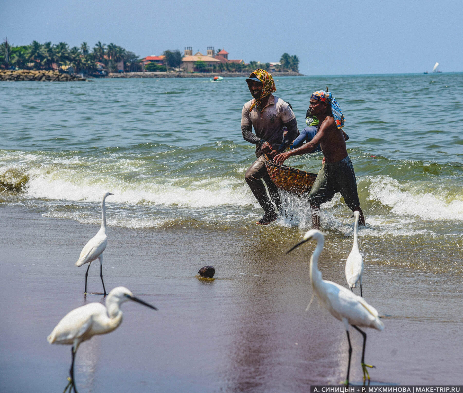 Рыбный рынок в Негомбо