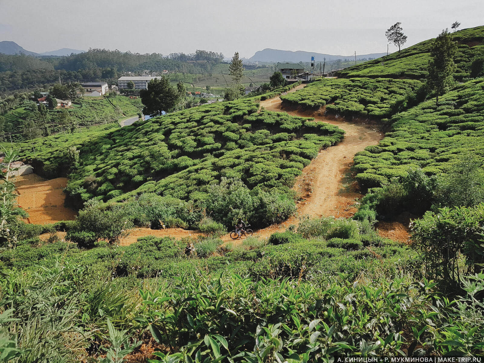 Нувара-Элия
