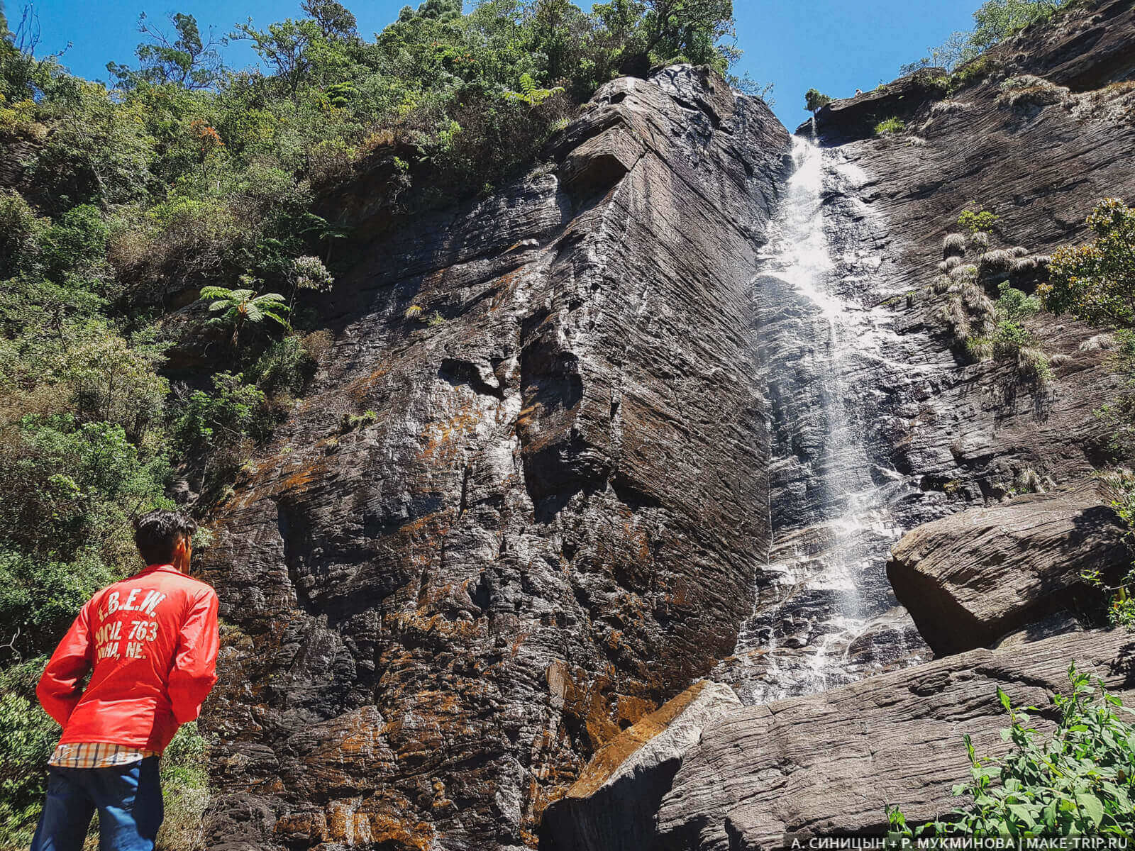 Нувара-Элия