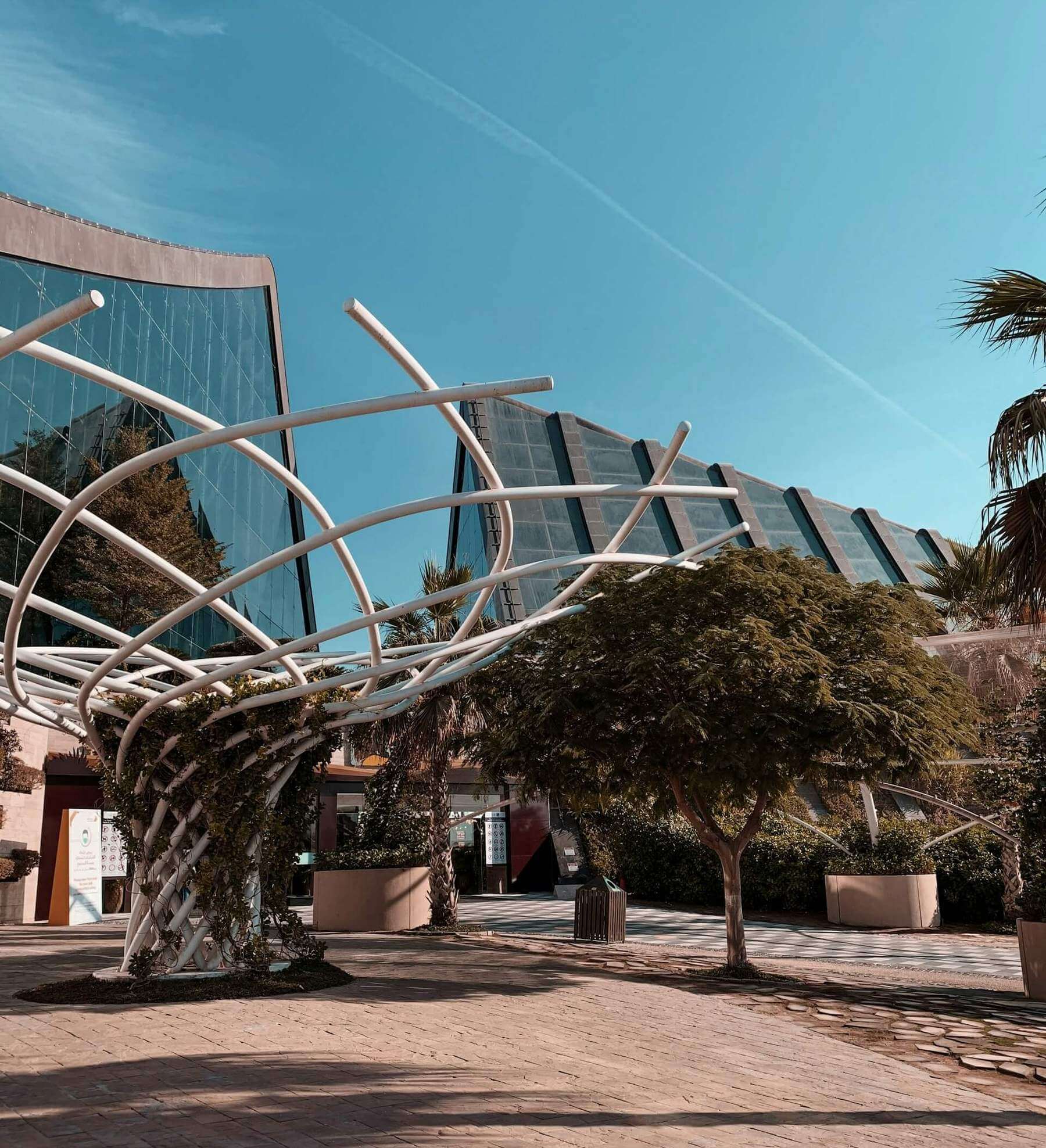 Дубай Сафари Парк