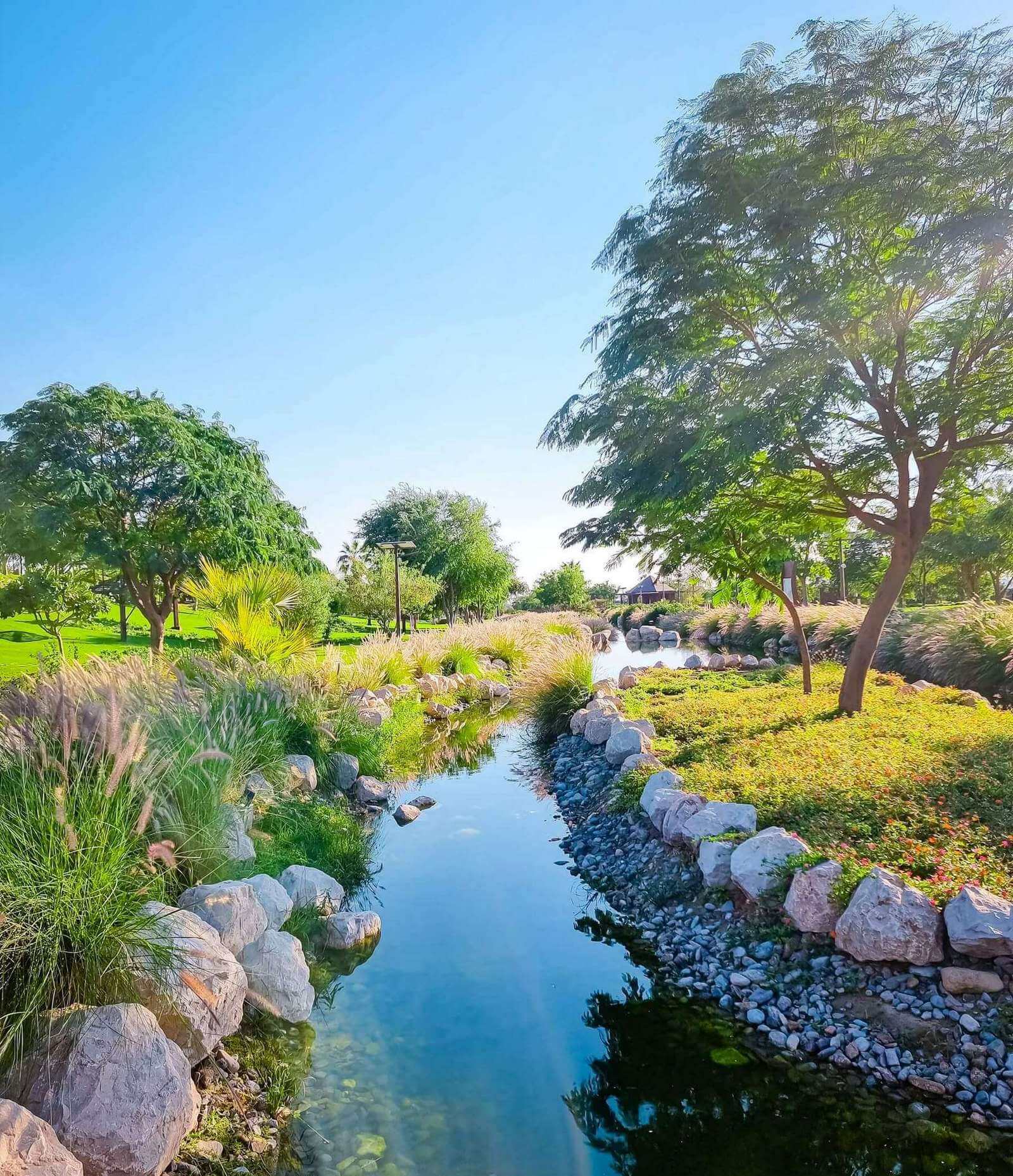 Дубай Сафари Парк