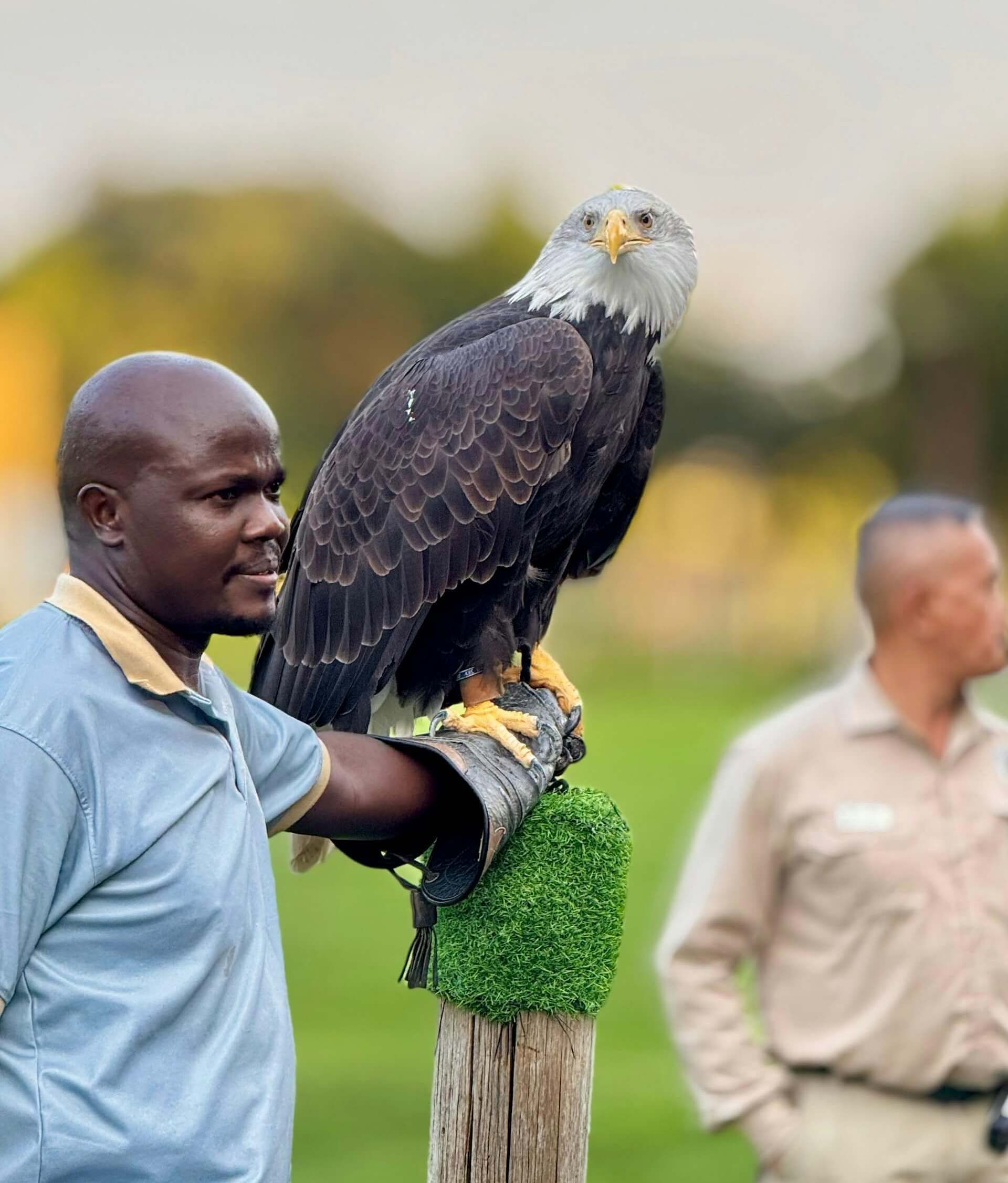 Дубай Сафари Парк
